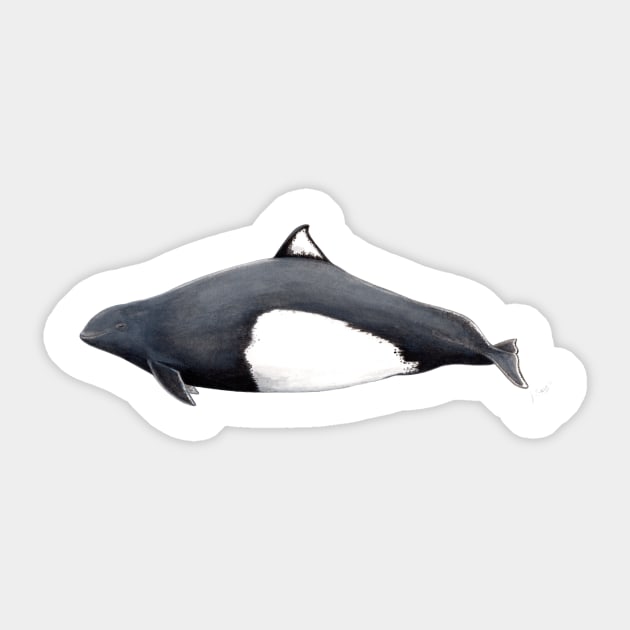 Dall´s porpoise Sticker by chloeyzoard